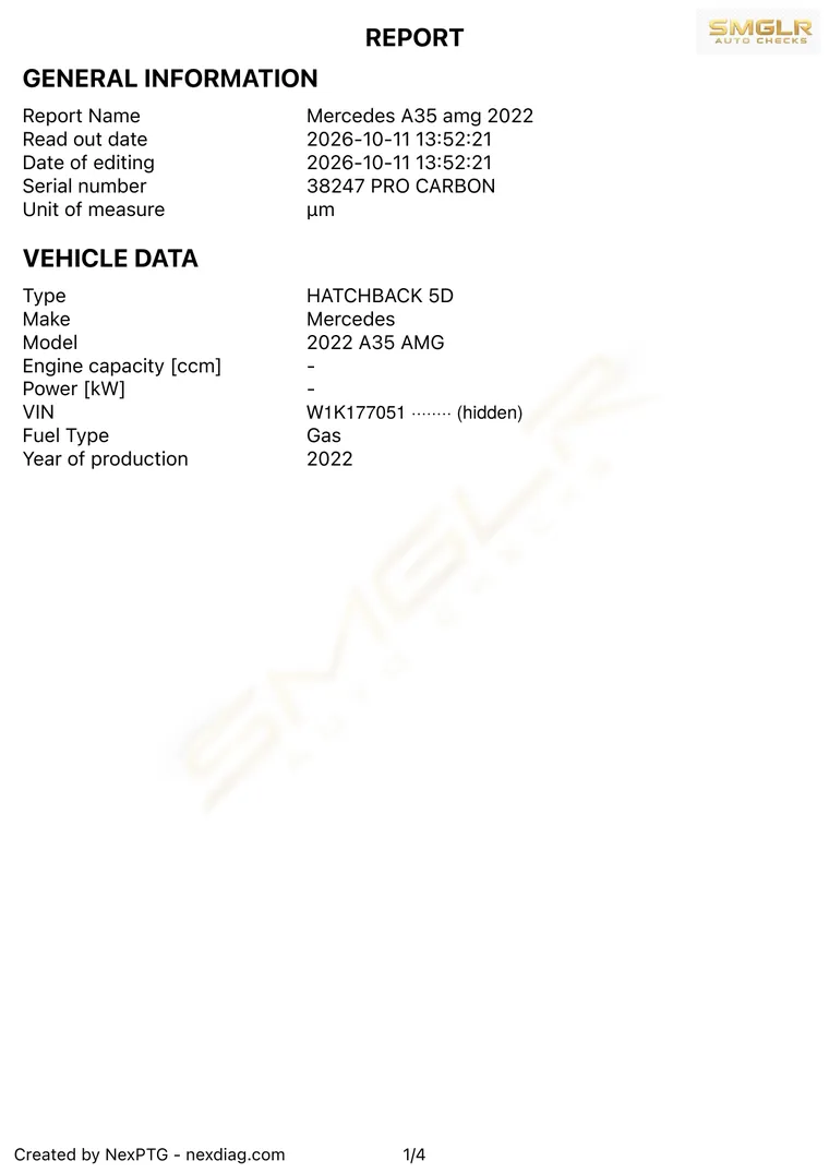 Paint report vehicle details page
